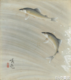 菅谷晴亮色紙　鮎