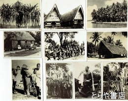 パラオ島生写真