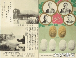 絵葉書　茨城県蚕種同業組合