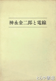 神永金二郎と電線
