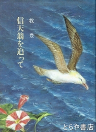 信天翁を追って