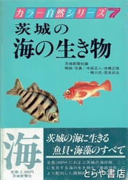 茨城の海の生き物
