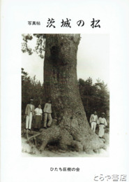 写真帖　茨城の松　関右馬允撮影の写真を収録（大正から昭和初期）