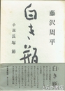 白き瓶　小説長塚節