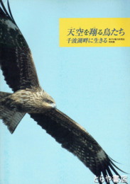 天空を翔る鳥たち　千波湖畔に生きる