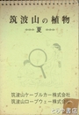 筑波山の植物　夏