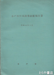 水戸市広域商業診断報告書