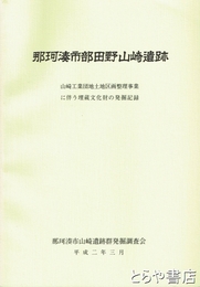 那珂湊市部田野山崎遺跡