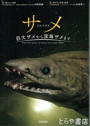 サメ　巨大ザメから深海ザメまで
