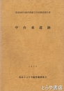 中台東遺跡