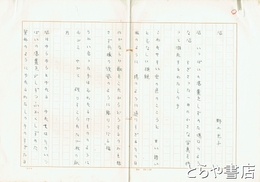 野上光子詩稿　「沼」「南へ」　２編