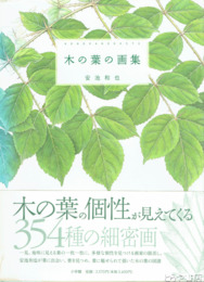 木の葉の画集