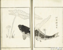 尚古亭斎画譜　初編