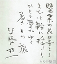 伊藤桂一短歌　「罌粟の花萎るるまでは鞍に挿しひとり愛でゆく暑き日の旅」