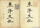 東洋文化　復刊１・４～４３号３５冊