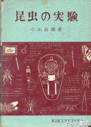 昆虫の実験