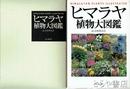 長沢英俊「天使の影」　水戸芸術館現代美術センター展覧会資料１６号