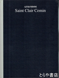 Saint Clair Cemin　Art random 4