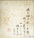 平泉澄色紙　「嗚る神乃烈しき怒り咲く花の匂ふやさしさ併せもたなむ」寒林