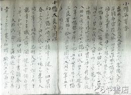 茨城町小幡村斎藤家文書　斎藤家は大山守・名主　小幡平氏の系統