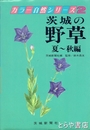 茨城の野草　夏～秋編