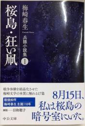 兵隊小説集１　桜島・狂い凧　中公文庫