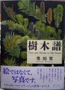 樹木譜