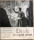 ドルック : 鈴木龍一郎写真集 : 龍の棲む街、シンガポール、台湾、上海