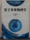 量子多体物理学 現代物理学「基礎シリーズ」7