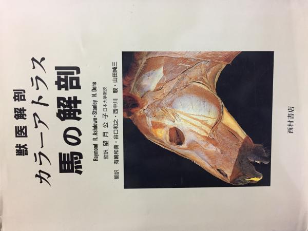 獣医解剖カラーアトラス 牛の解剖 西村書店