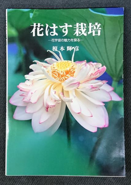 花はす栽培 花宇宙の魅力を探る 榎本輝彦 著 れんが堂書店 古本 中古本 古書籍の通販は 日本の古本屋 日本の古本屋