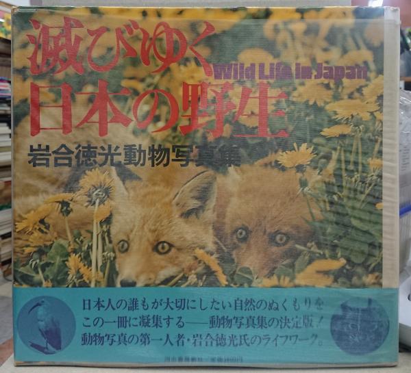 滅びゆく 日本の野生 岩合徳光動物写真集 れんが堂書店 古本 中古本 古書籍の通販は 日本の古本屋 日本の古本屋 滅びゆく 日本の野生 岩合徳光動物写真集 れんが堂書店 古本 中古本 古書籍の通販は 日本の古本屋 日本の古本屋