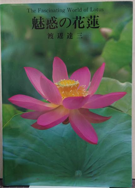 宮崎神戸市政の研究 第1巻 (企業的都市経営論)(高寄昇三 著