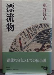 漂流物