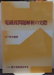 電磁波問題解析の実際