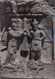 文明の十字路 : イラン,アフガニスタン,パキスタン調査の記録