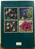 ALPINES 
 