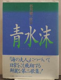 谷川健一歌集 青水沫