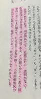 輜　三八　追想録　(南支／香港／スマトラ／ジャワ／アンボン／チモール／ガダルカナル／ラバウルに戦った思い出の記)【非売品】
