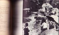 水・泥・熊本 1953
