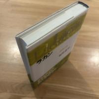 ラカン : 鏡像段階