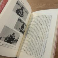 鵜飼 : 中国と日本