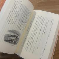 シェイクスピアの鳥類学