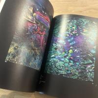 境界線の美術 : 絵画と彫刻を超えて : 開館10周年記念展