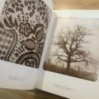 表現としての写真150年の歴史 : タルボット「自然の鉛筆」から1980年代まで