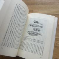 自然界と人間の運命　2冊セット　part1 (進化論と行動学をめぐって)part2(生存への諸問題をめぐって)