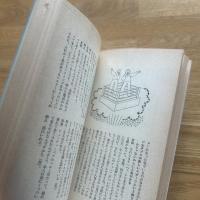 阿久悠の魚眼思考