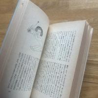 阿久悠の魚眼思考