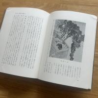 妖怪学入門 : 日本の妖怪・幽霊の歴史