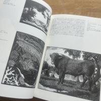 イギリス木版画展 : 1890～1945 図録